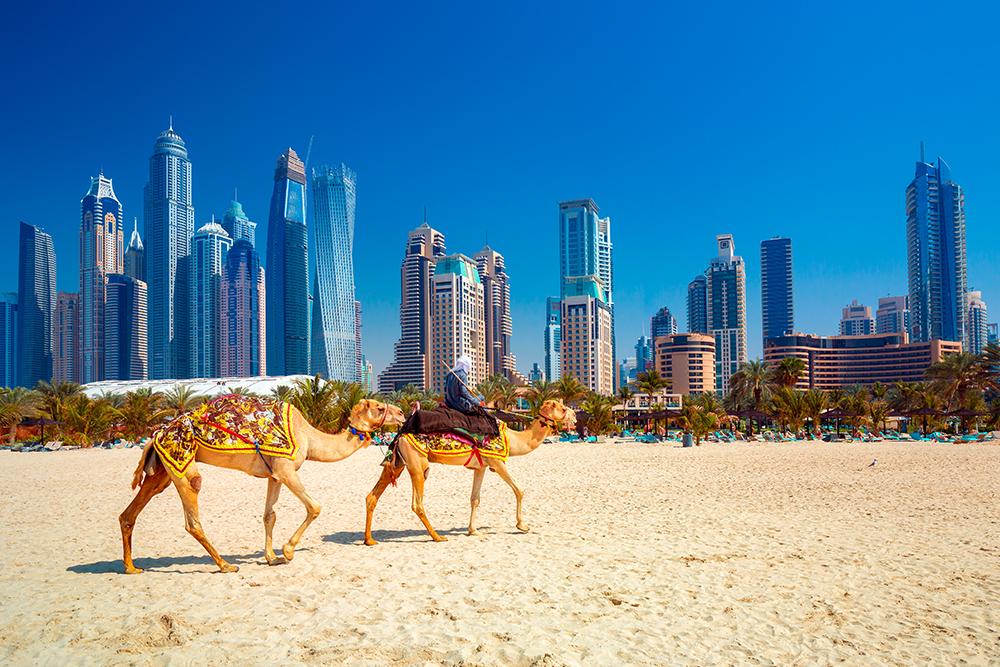 Abu Dhabi & Maldivas - Image 6