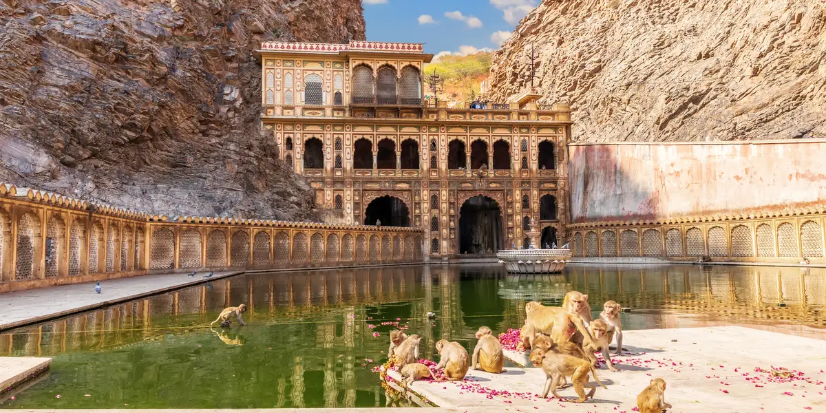 Índia ao Seu Alcance: uma viagem pelo coração da Índia imperial - Image 2