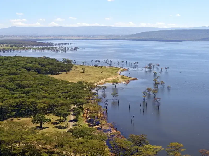 Quénia e Praias do Índico: safari, romance e paraíso tropical